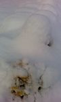 850724_995434461_113large.jpg