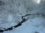 CIMG0779.jpg
